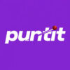 Puntit