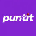 Puntit