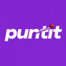 Puntit